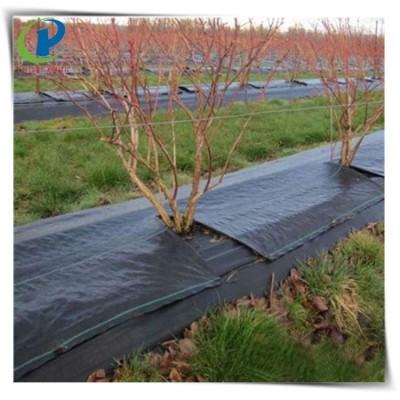 100% anti grass PP woven weed control cloth,agro plant ground cover landscape fabric,100gsm black plastic weed barrier mat