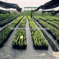 100% PP Woven Agriculture Ground Cover/Mulch Film/Weed Mat Cover