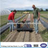 agricultural ground cover fabric,low maintenance ground cover,waterproof mat