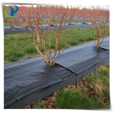 Polypropylene black ground cover weed barrier mat fabric mulch film