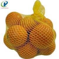 PP/PE hot sale good quality 10kg onion mesh bag plastic packing onion